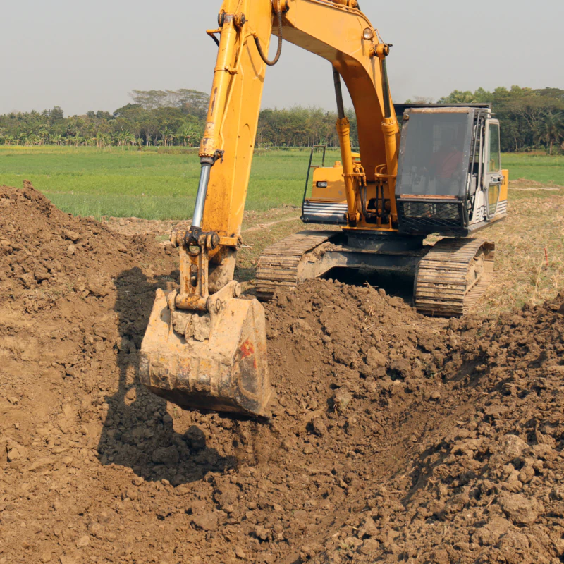 Excavation (1)