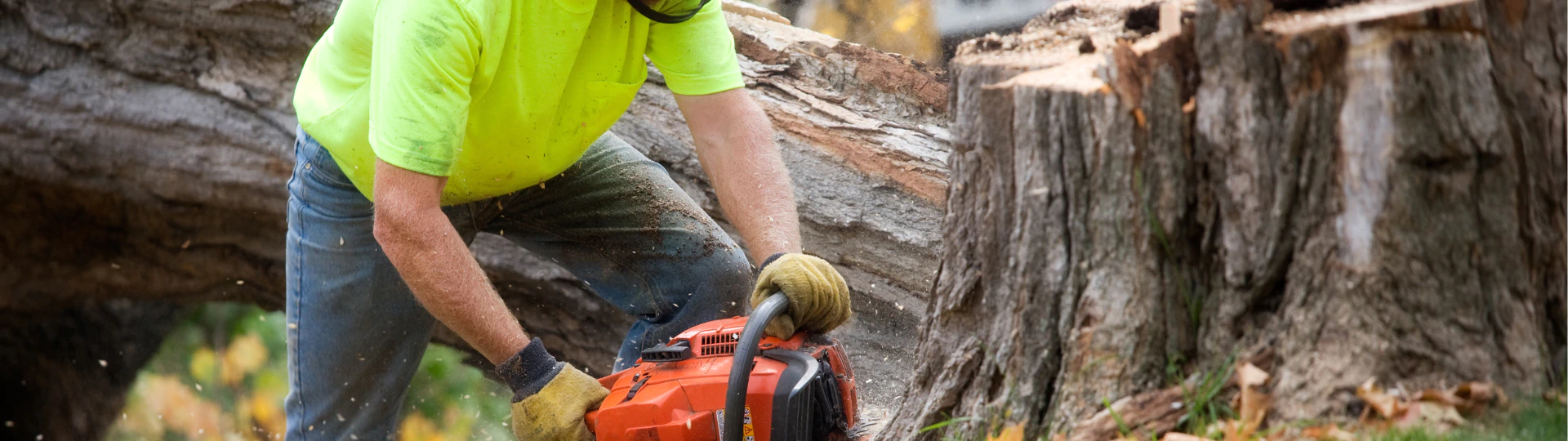 Tree and Stump Removal breadcrumb